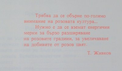 DSC01839.JPG