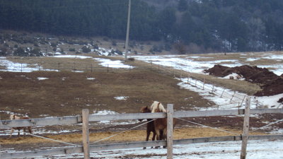 DSC00438.JPG