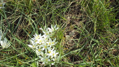 DSC01040.JPG