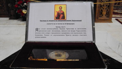 DSC01050.JPG