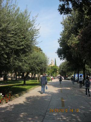 IMG_0597.JPG