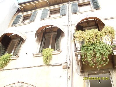 SDC10282.JPG