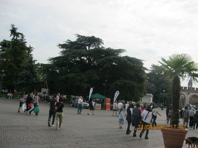 IMG_0675.JPG
