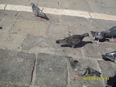 SDC10049.JPG