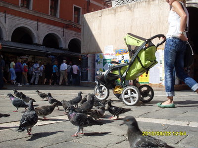SDC10050.JPG