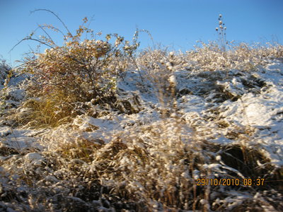 IMG_0971.JPG