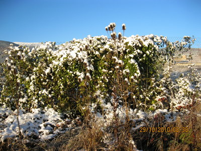 IMG_0972.JPG