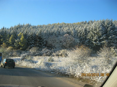 IMG_0974.JPG