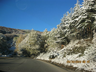 IMG_0975.JPG