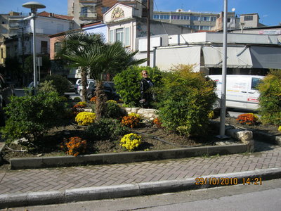 IMG_0993.JPG
