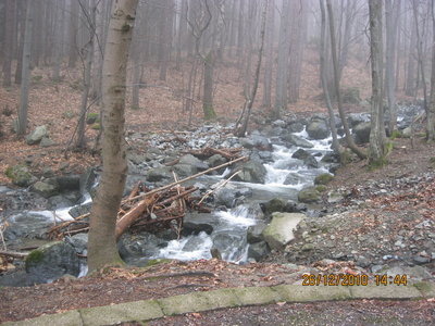 IMG_1421.JPG