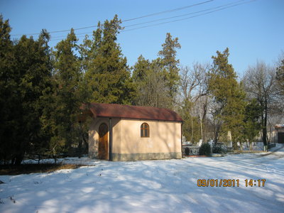 IMG_1464.JPG