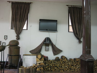 IMG_1500.JPG