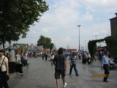 IMG_5000.JPG