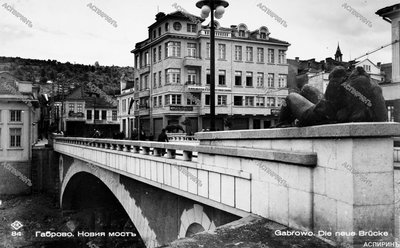 img307(1).jpg