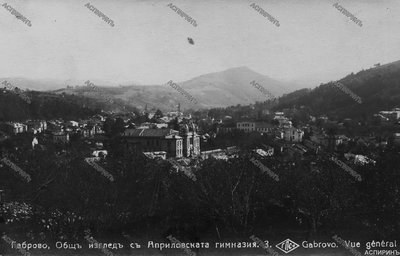 img479(1).jpg