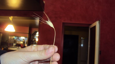 DSC00945.JPG